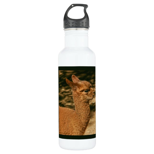 Botella De Agua Alpaca Cria - "Sorpresa de papá" (Anverso)