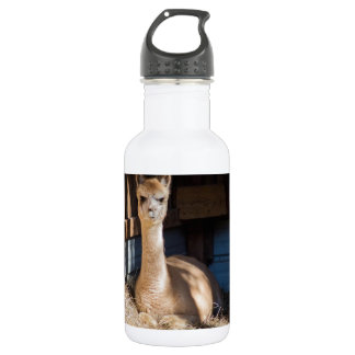 Botella De Agua Alpaca ligera del cervatillo