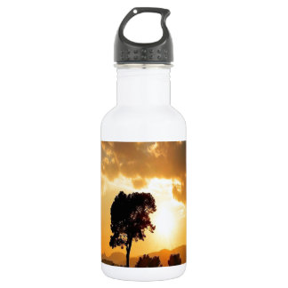 Botella De Agua Amanecer de árbol