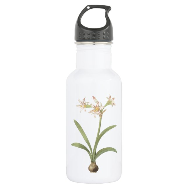 Botella De Agua amaryllis (Amaryllis vittata) por Redouté (Anverso)