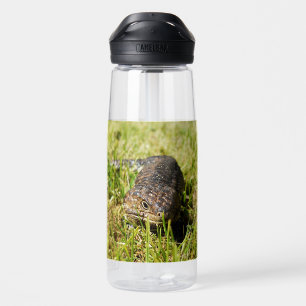 Botella De Agua Ambler blindado: El paseo secreto del Shingleback,