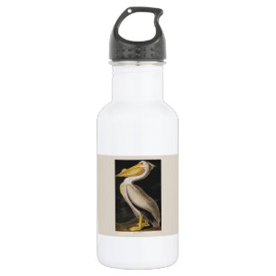 Botella De Agua América del pájaro pelícano blanco audubon