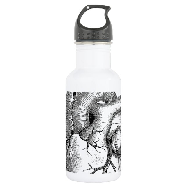 Botella De Agua Anatomía cardíaca vintage | PERSONALIZABLE (Anverso)