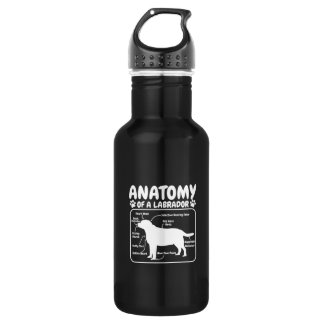 Botella De Agua Anatomía de perro de Labrador
