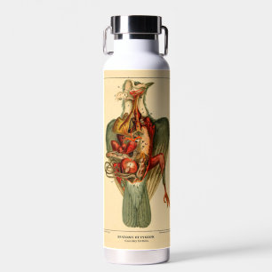 Botella De Agua Anatomía de una paloma