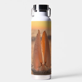 Botella De Agua Angel Wing Shells Thermal Tumbler