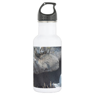 Botella De Agua Animal del amor de la paz del país de la