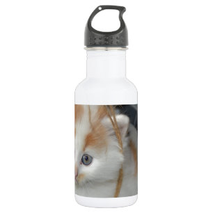 Botella De Agua Animales Gatito Lindo Mascotas Gatos