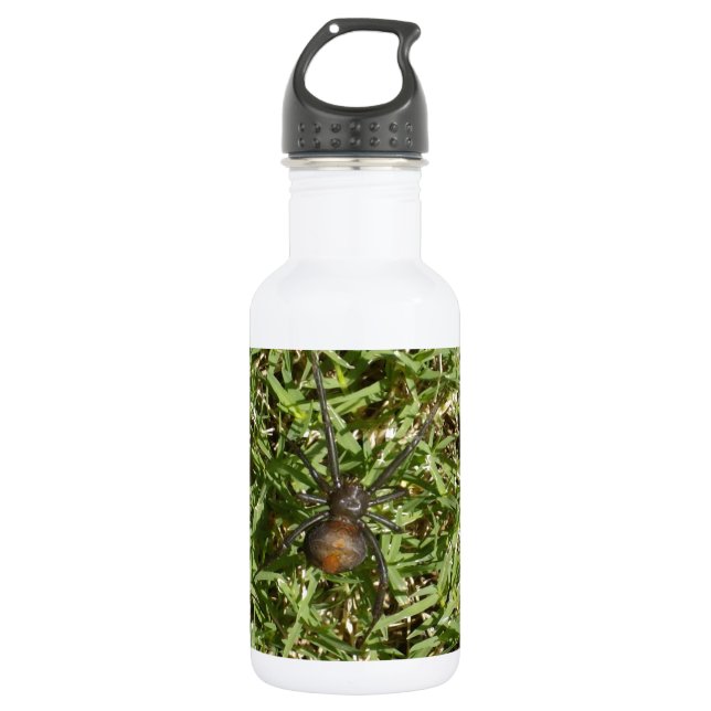 Botella De Agua Araña_Redback_Hembra_Grande,_ (Anverso)