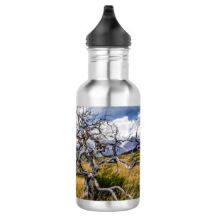 Botella De Agua Árbol quemado, Torres del Paine, Chile