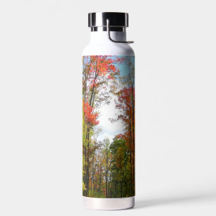 Botella De Agua Árboles caídos y fotografía de la naturaleza otoña