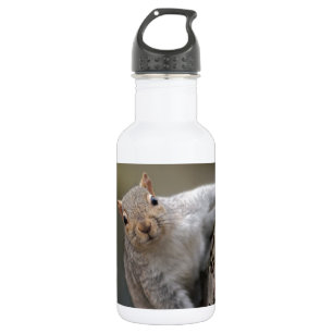 Botella De Agua Ardilla curiosa