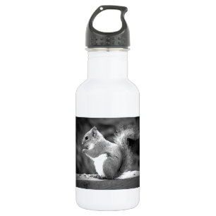 Botella De Agua Ardilla de comer