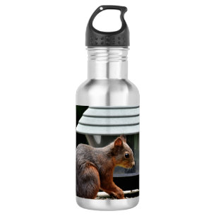 Botella De Agua ardilla en el alimentador de aves