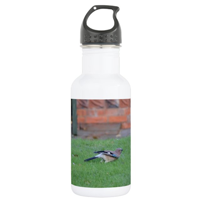 Botella De Agua Arrendajo común (Anverso)