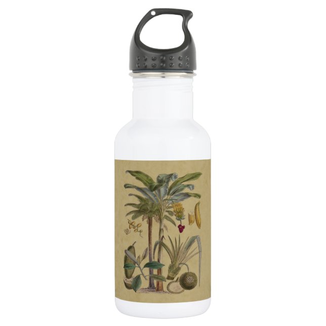 Botella De Agua Arte botánico de frutas tropicales palmo antiguo (Anverso)
