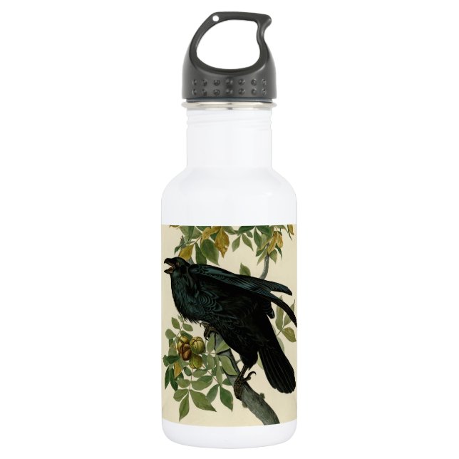 Botella De Agua Arte clásico Audubon Raven (Anverso)