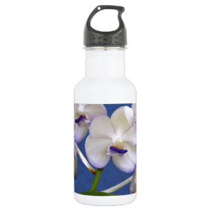 Botella De Agua Arte colorido de la fotografía de las plantas