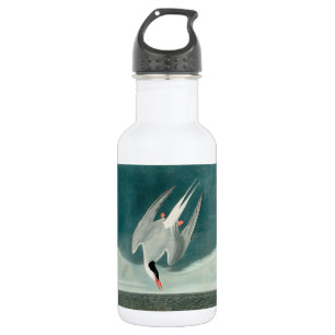 Botella De Agua Arten ártico Audubon Pájaro Pintura de Vida Silves