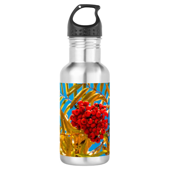 Botella De Agua Ashberry (Anverso)