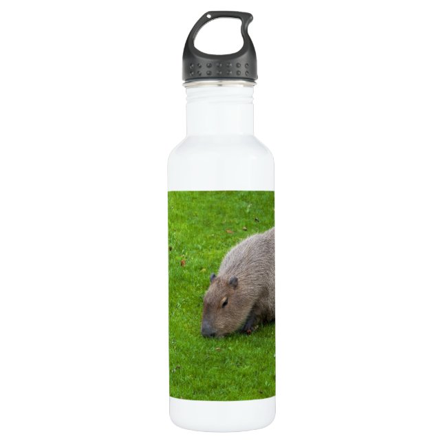 Botella De Agua Asombroso capibara animal (Anverso)