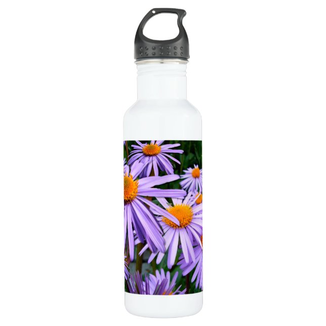 Botella De Agua Aster (Anverso)