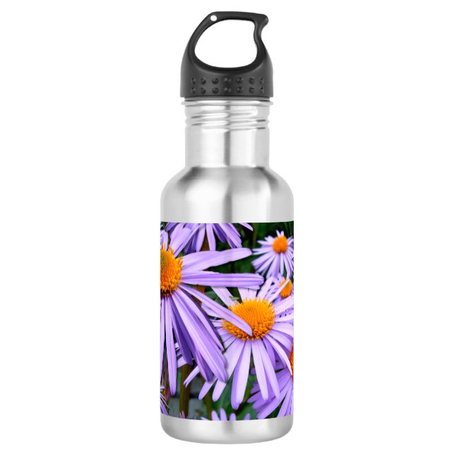 Botella De Agua Aster (Anverso)
