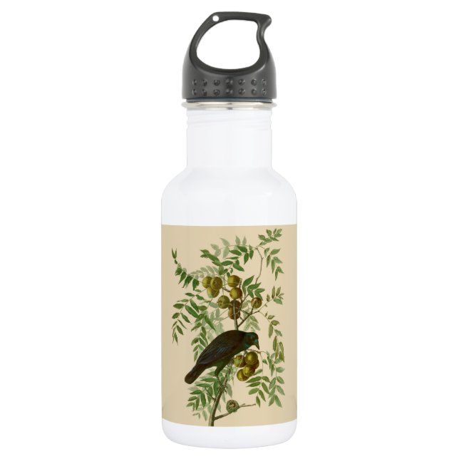 Botella De Agua Audubon American Crow Black Bird (Anverso)