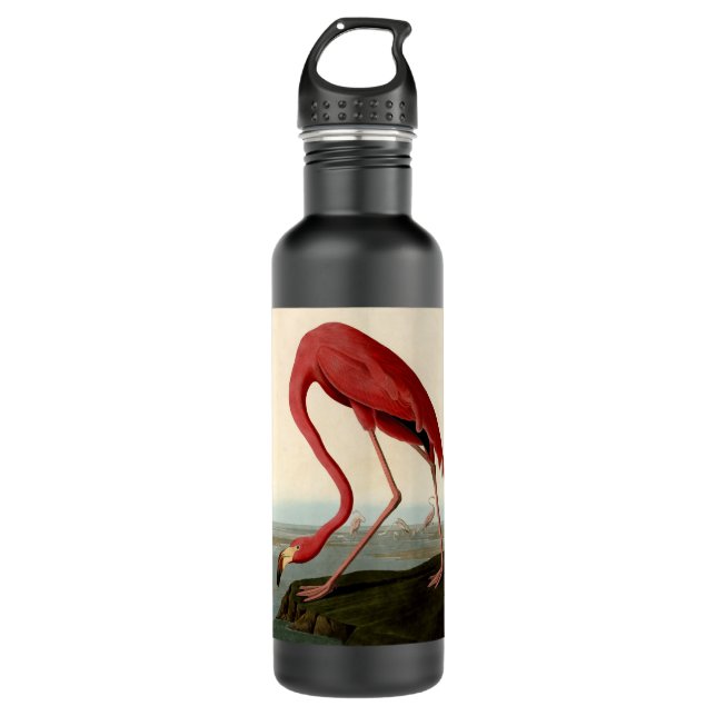 Botella De Agua Audubon American Flamingo (Anverso)