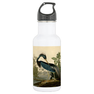 Botella De Agua Audubon Louisiana Heron Birds America Art