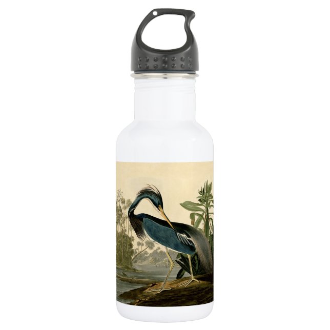 Botella De Agua Audubon Louisiana Heron Birds America Art (Anverso)