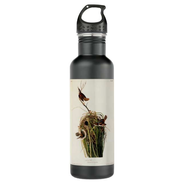Botella De Agua Audubon Marsh Wren Bird Art (Anverso)