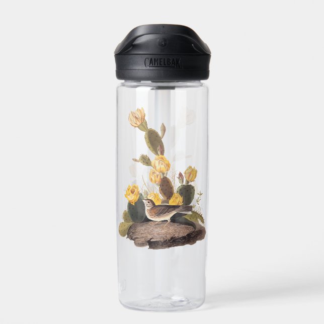 Botella De Agua Audubon Vesper Sparrow y Pricky Pear Cactus (Atrás)