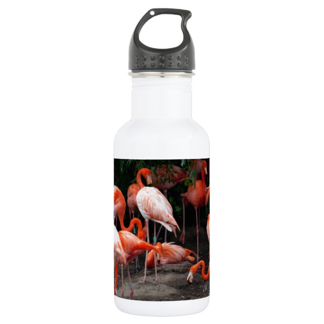 Botella De Agua Aves tropicales de playa destruyen flamencos (Anverso)