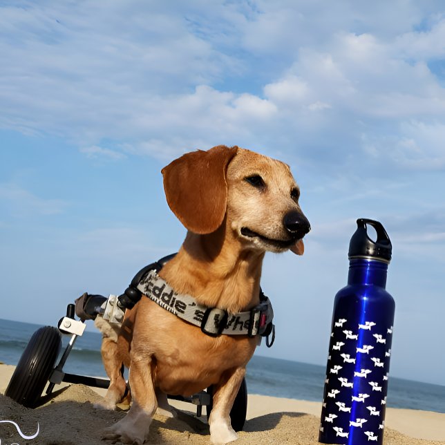Botella de agua azul de Dachshund Wiener Dog (Dachshund water bottle)