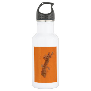 Botella De Agua Baby Tokay Gecko
