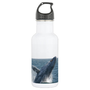 Botella De Agua Ballena jorobada