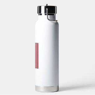 Botella De Agua Bandera de béisbol deteriorada diseño vectorial vi