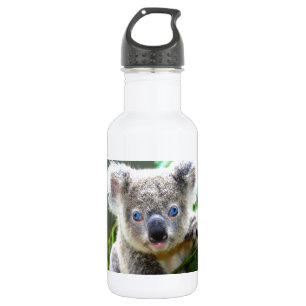 Botella De Agua Baños de Koala