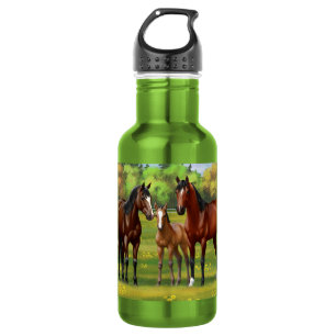 Botella De Agua Barrio Marrón De Caballos En Pasto De Verano
