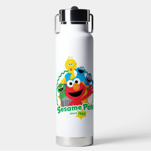 Botella De Agua Barrio Sésamo   Pilas Sesame Desde 1969