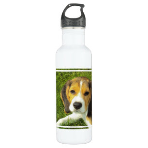 Botella De Agua Beagle