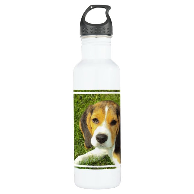 Botella De Agua Beagle (Anverso)