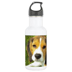 Botella De Agua Beagle Dog Mascota Animales Paz Amor