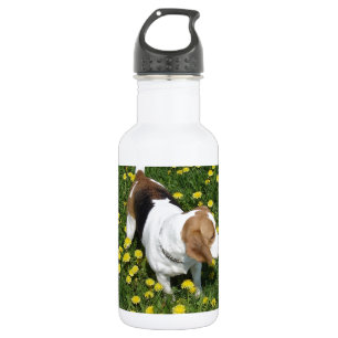 Botella De Agua beagle en dandilions.png