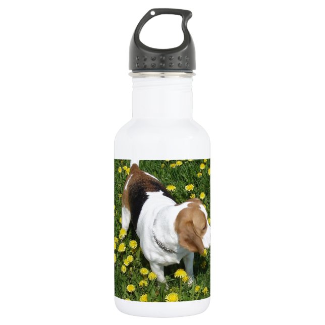 Botella De Agua beagle en dandilions.png (Anverso)