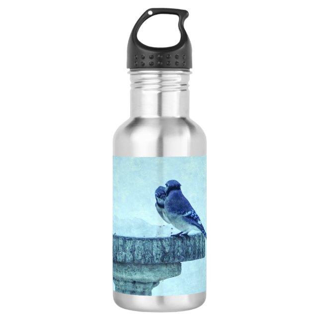 Botella De Agua Blue Jays Winter Feeding Painterly Steless (Anverso)