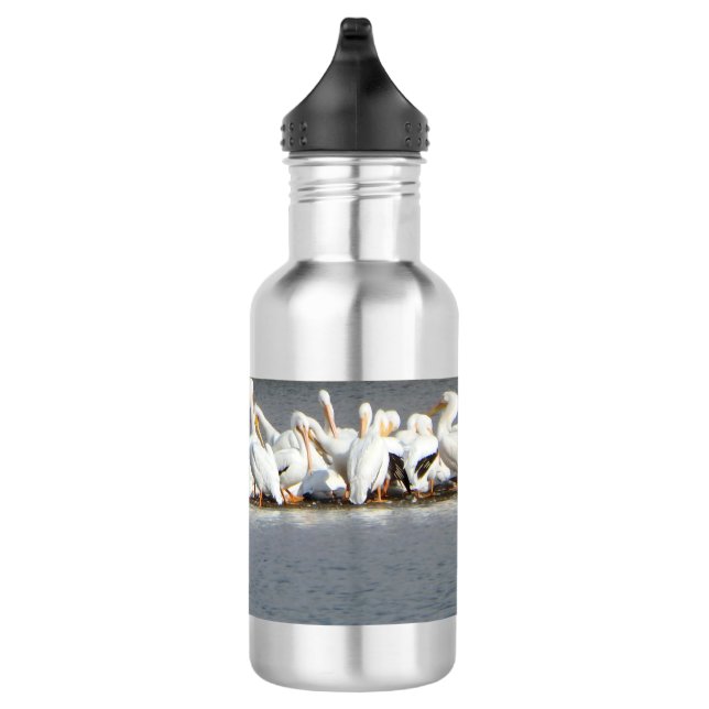 Botella De Agua Botella de agua, multitud de pelícanos (Derecha)
