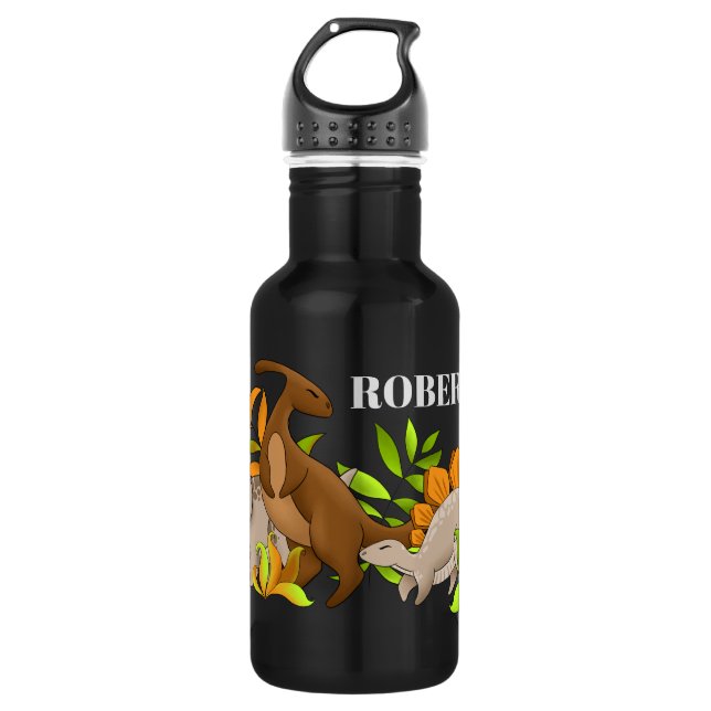 Botella De Agua Boys Dinosaurios prehistóricos diversión (Anverso)