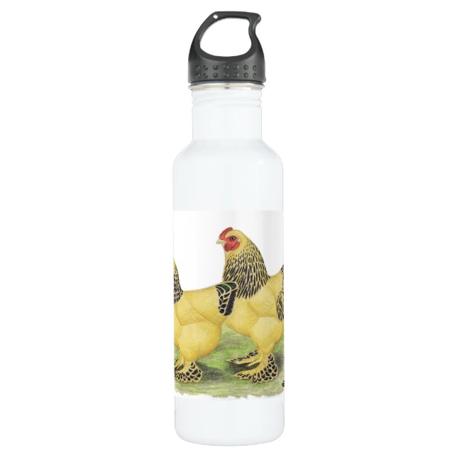 Botella De Agua Brahma Buff Pair (Anverso)